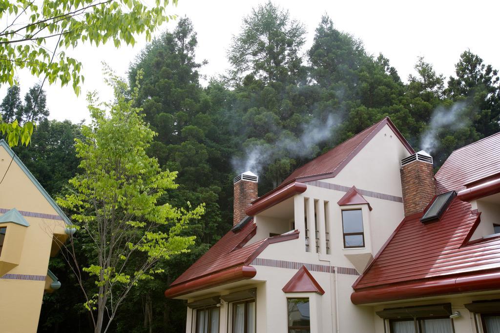 Phoenix Wing Hakuba Iida Bagian luar foto